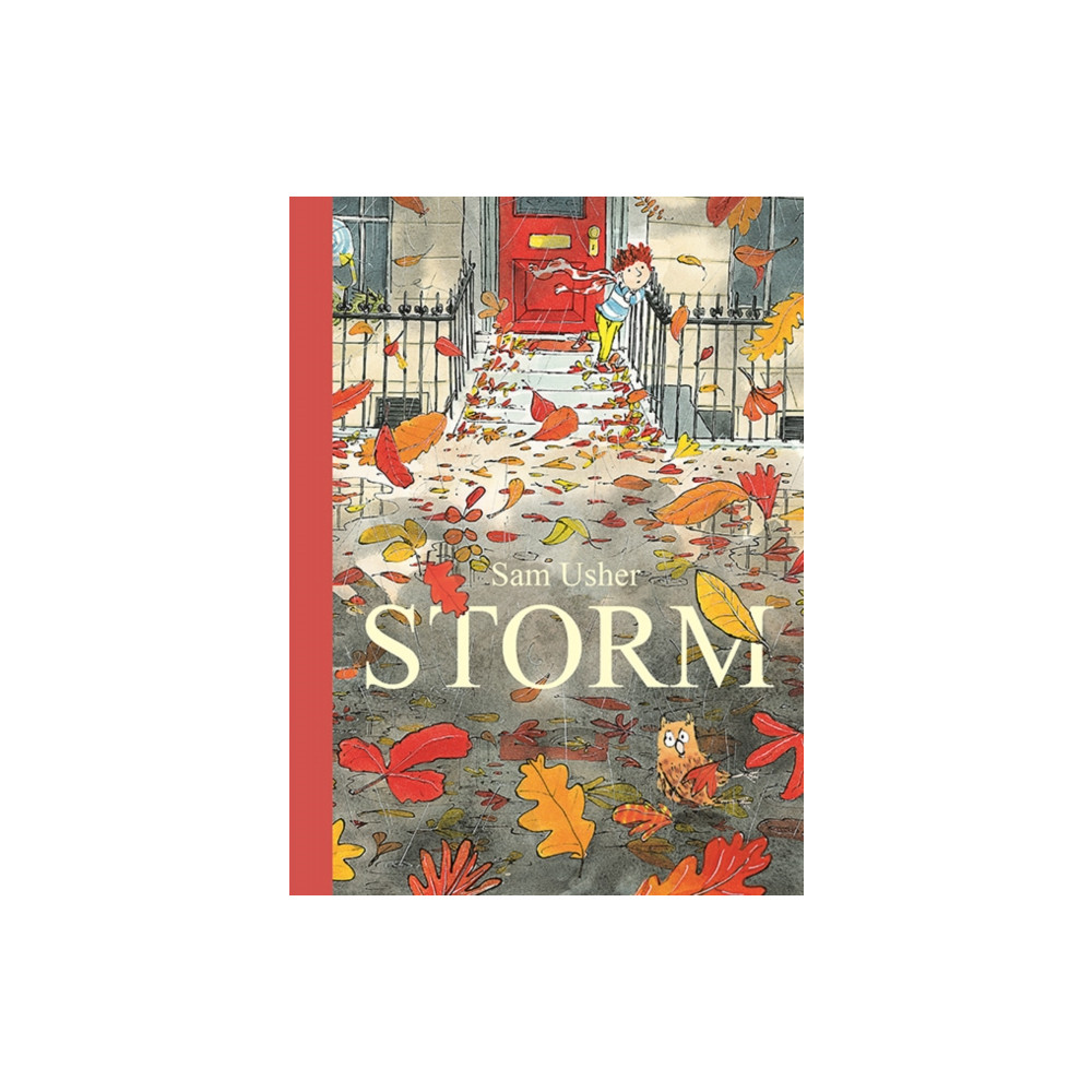 Produktbild för Storm (häftad, eng)