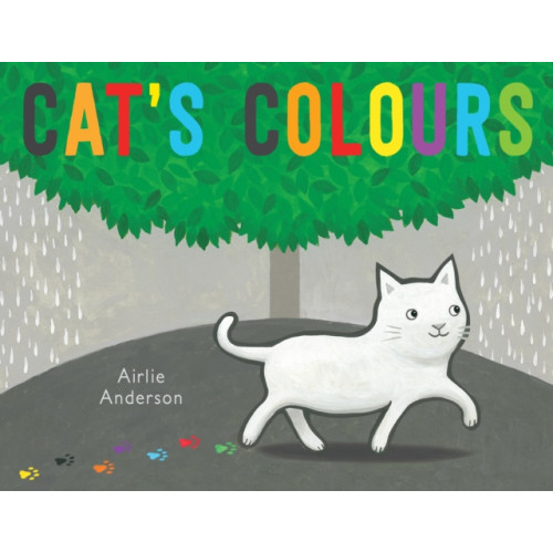 Child's Play International Ltd Cat's Colours (häftad, eng)