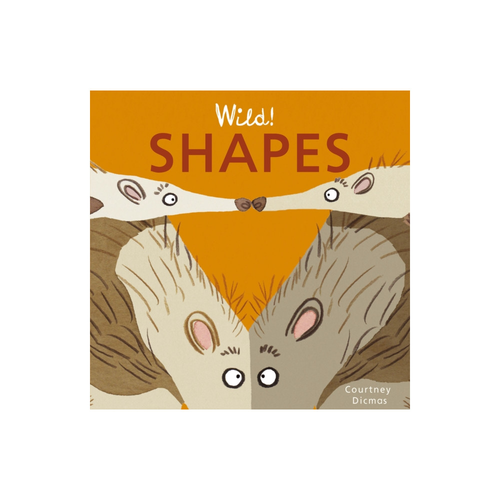 Produktbild för Shapes (bok, board book, eng)