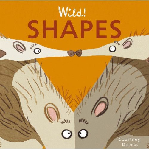 Child's Play International Ltd Shapes (bok, board book, eng)
