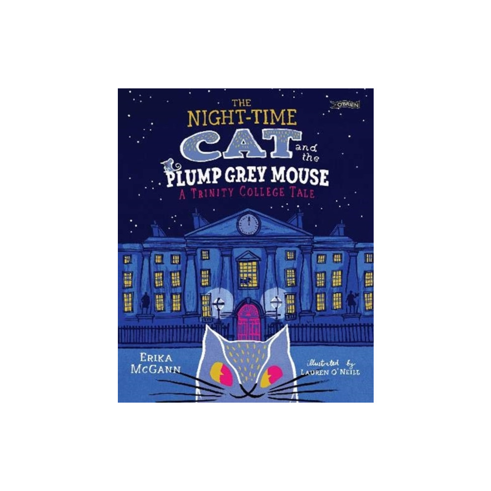 Produktbild för The Night-time Cat and the Plump, Grey Mouse (inbunden, eng)