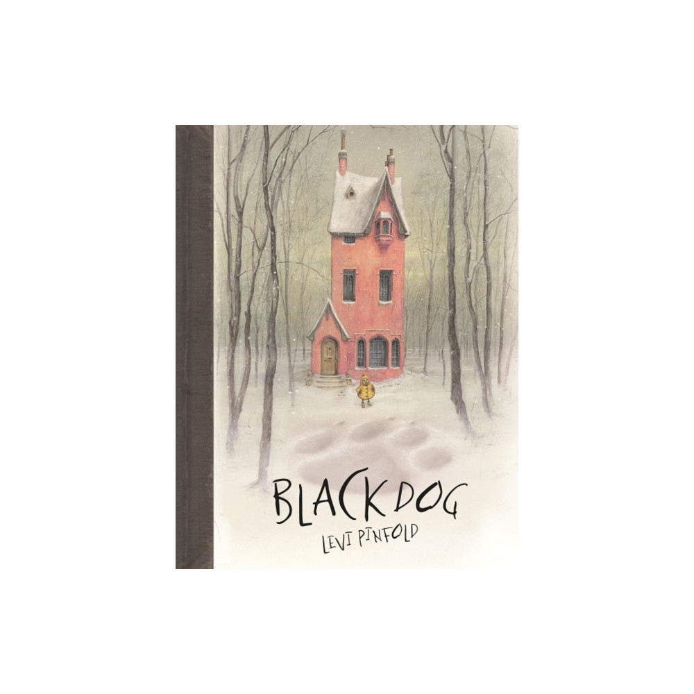 Produktbild för Black Dog (häftad, eng)