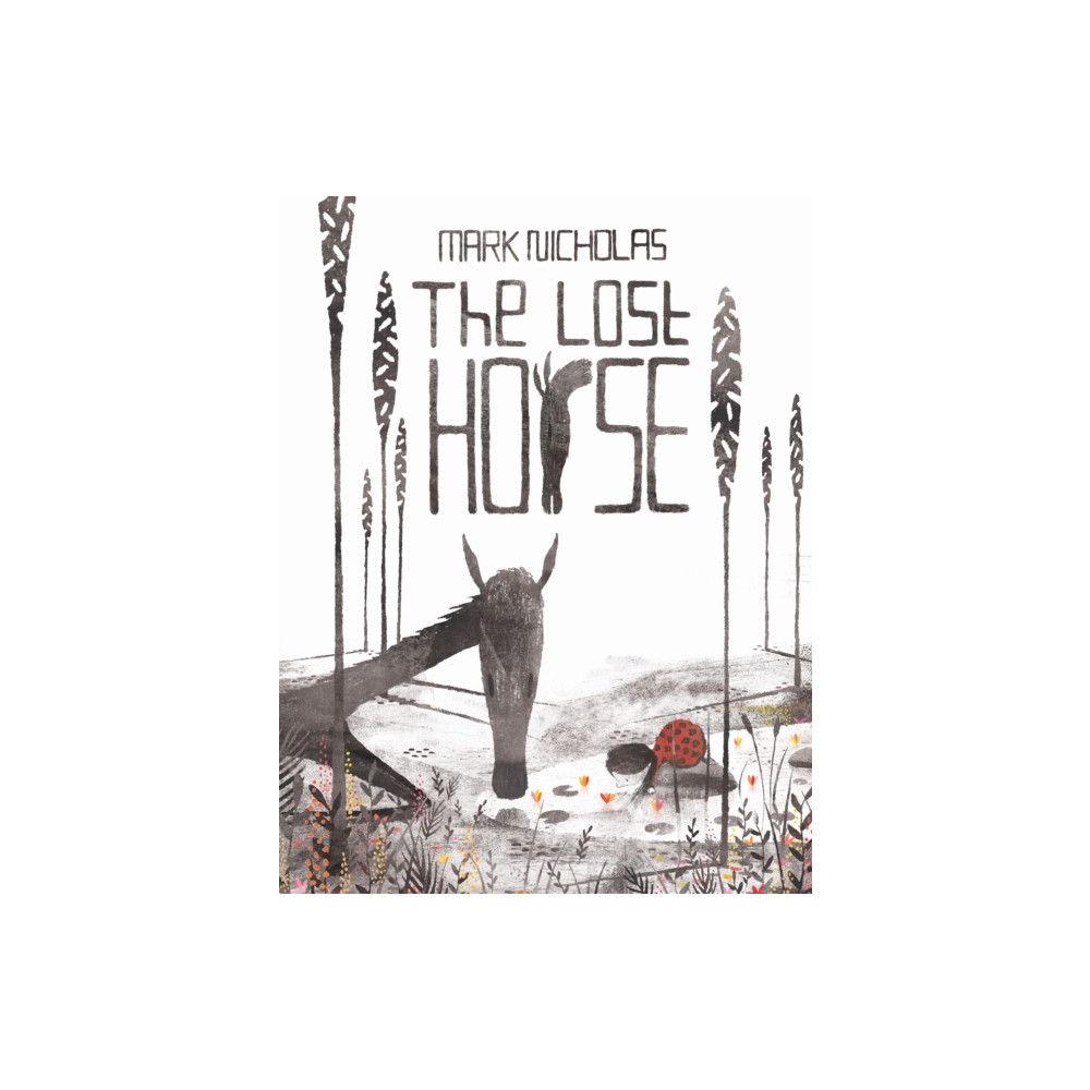 Produktbild för The Lost Horse (inbunden, eng)