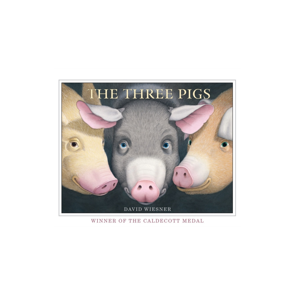 Produktbild för The Three Pigs (häftad, eng)