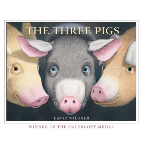 Andersen Press Ltd The Three Pigs (häftad, eng)