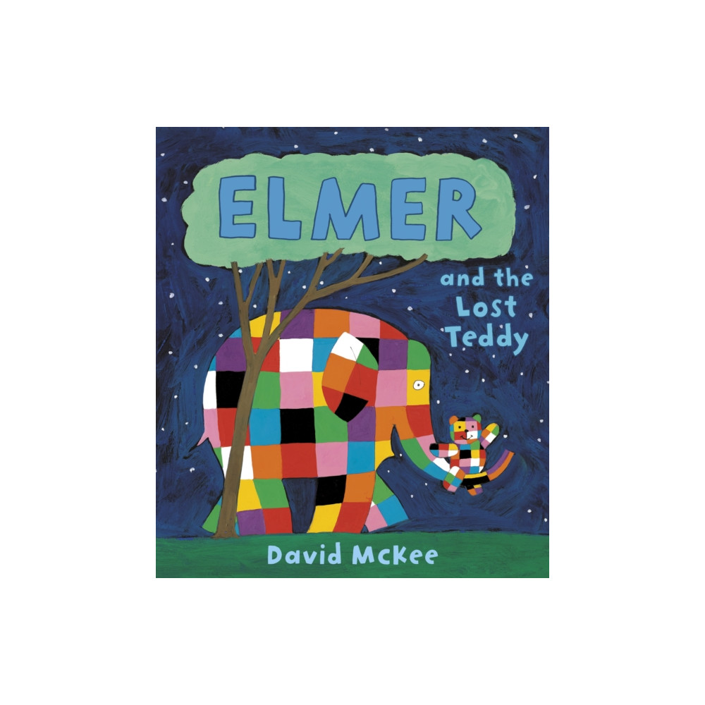 Produktbild för Elmer and the Lost Teddy (häftad, eng)