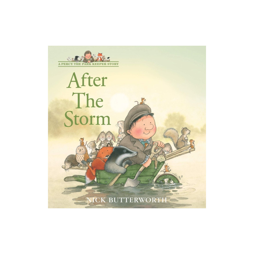 Produktbild för After the Storm (häftad, eng)