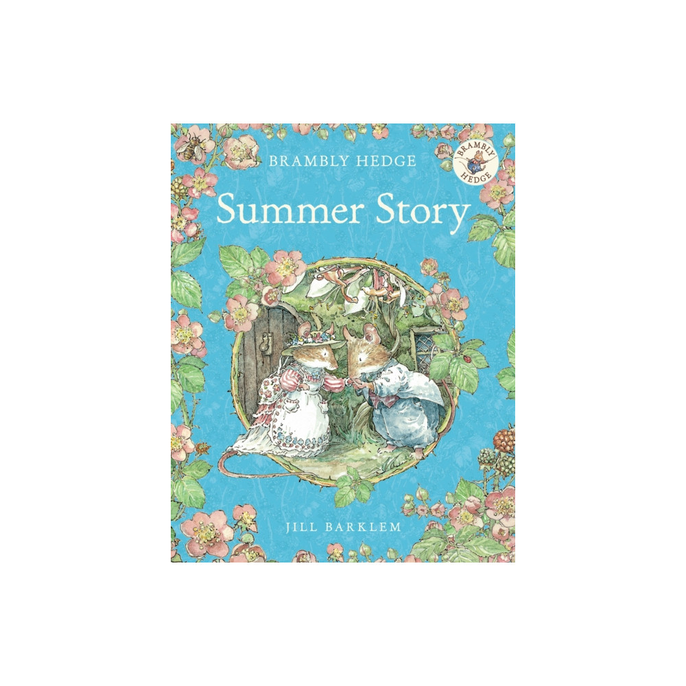 Produktbild för Summer Story (häftad, eng)