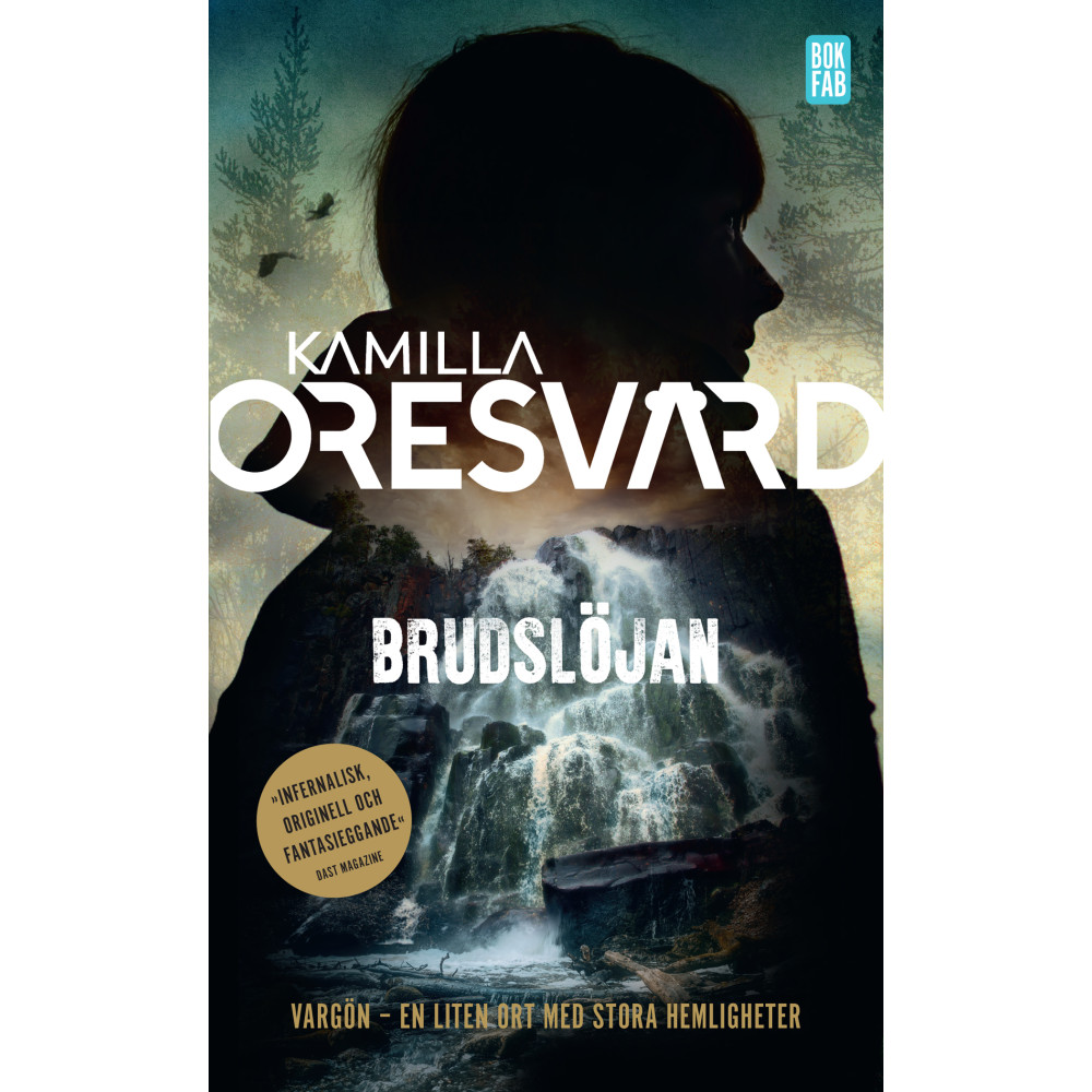 Produktbild för Brudslöjan (pocket)