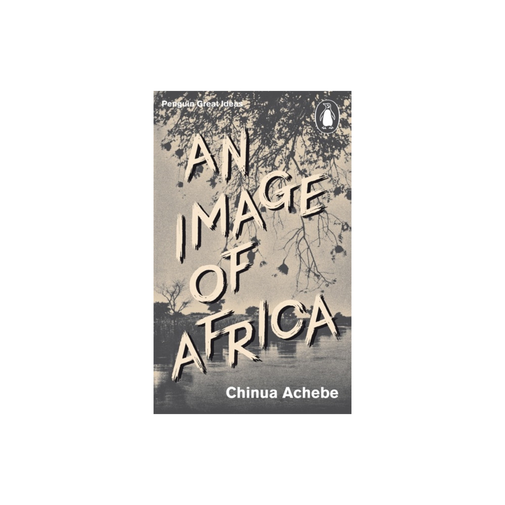 Produktbild för An Image of Africa (häftad, eng)
