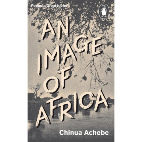 Penguin books ltd An Image of Africa (häftad)