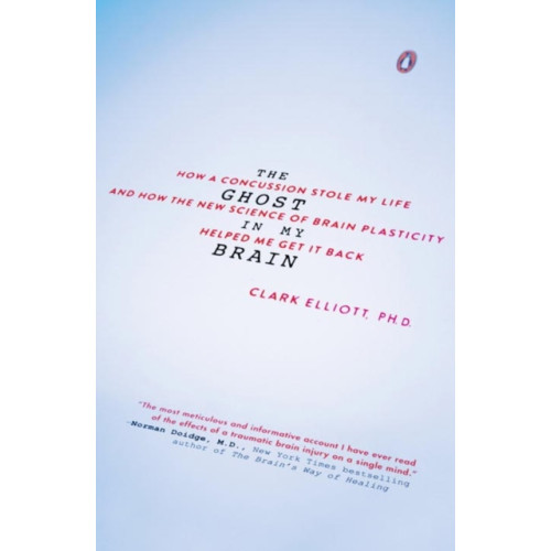 Penguin Putnam Inc The Ghost in My Brain (häftad, eng)