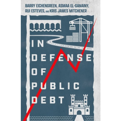 Oxford University Press Inc In Defense of Public Debt (inbunden, eng)