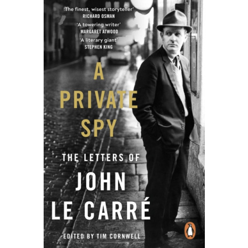 Penguin books ltd A Private Spy (häftad, eng)