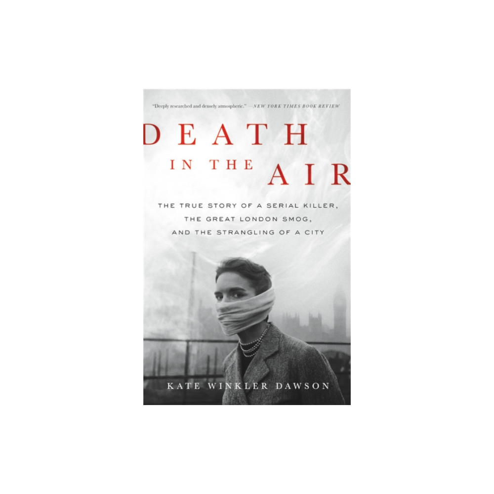 Produktbild för Death in the Air (häftad, eng)