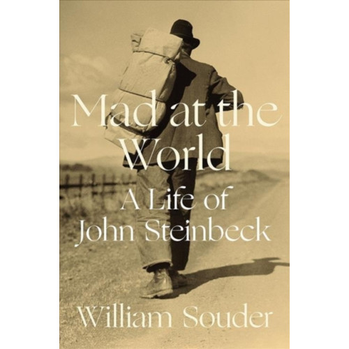 WW Norton & Co Mad at the World (inbunden, eng)