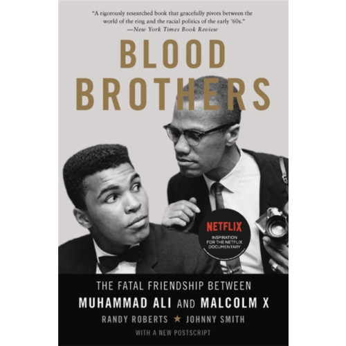 Basic Books Blood Brothers (häftad, eng)