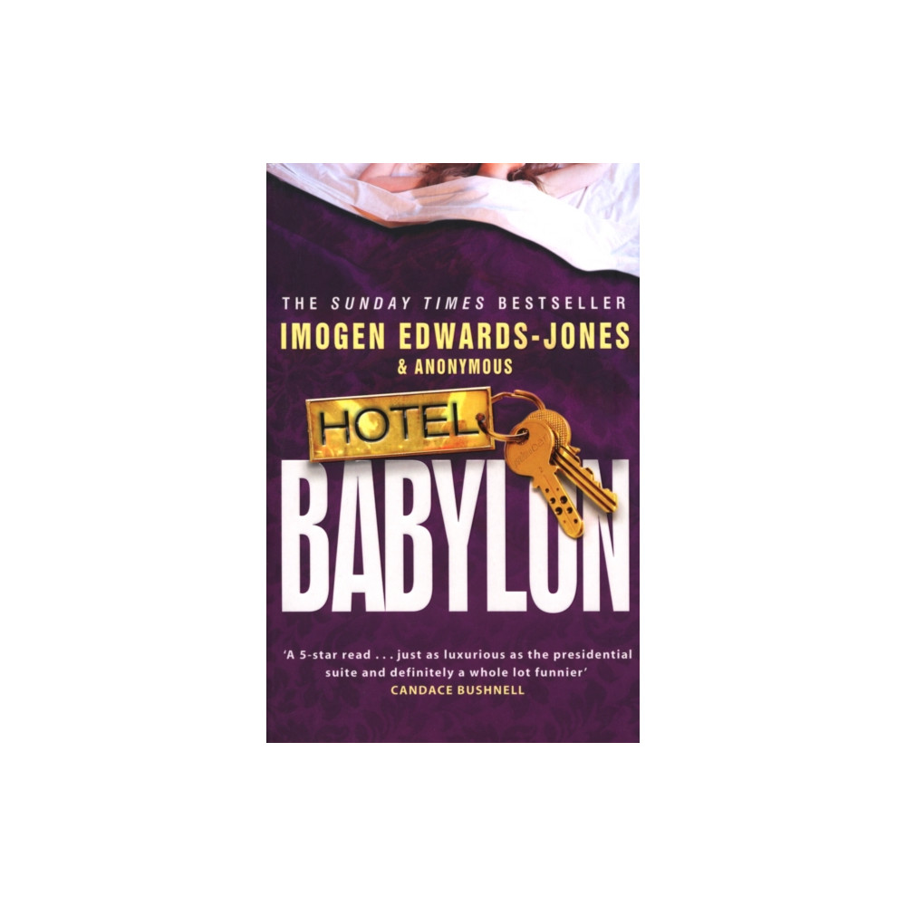 Produktbild för Hotel Babylon (häftad, eng)