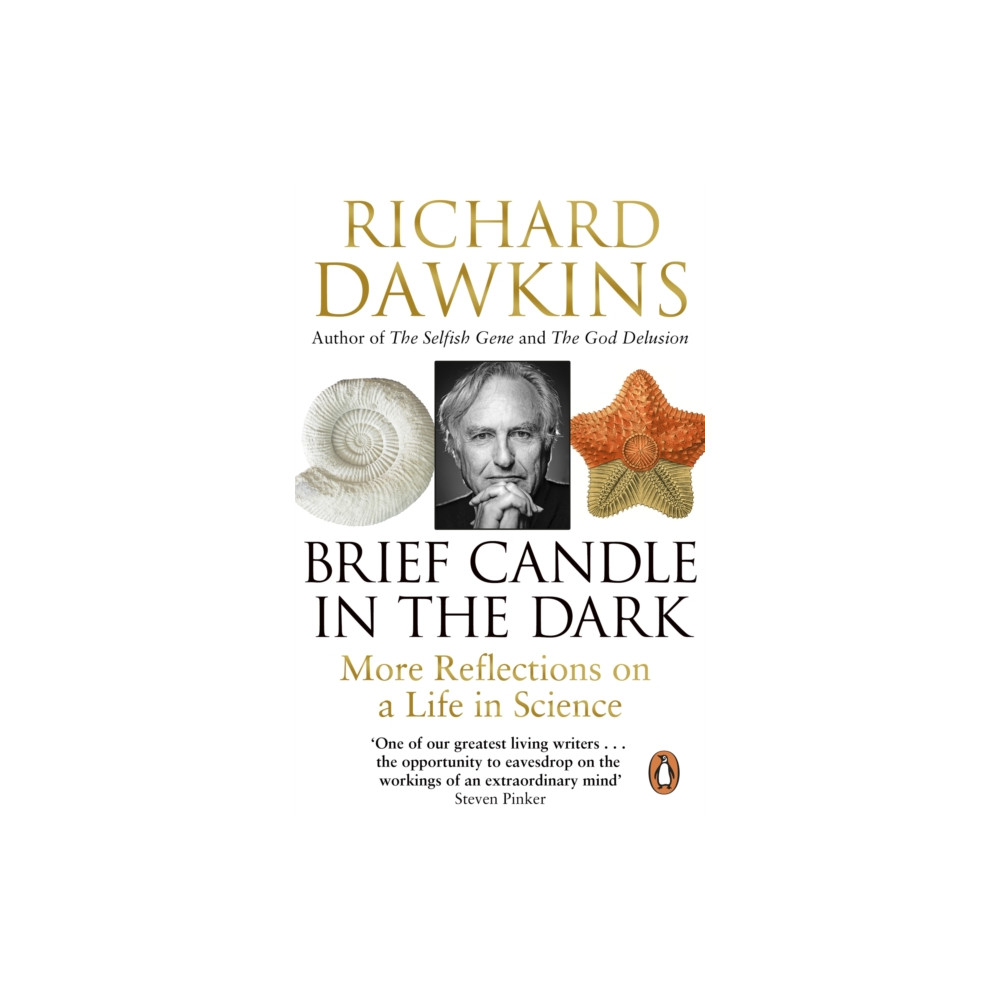 Produktbild för Brief Candle in the Dark (häftad, eng)