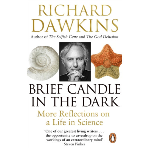 Transworld publishers ltd Brief Candle in the Dark (häftad, eng)