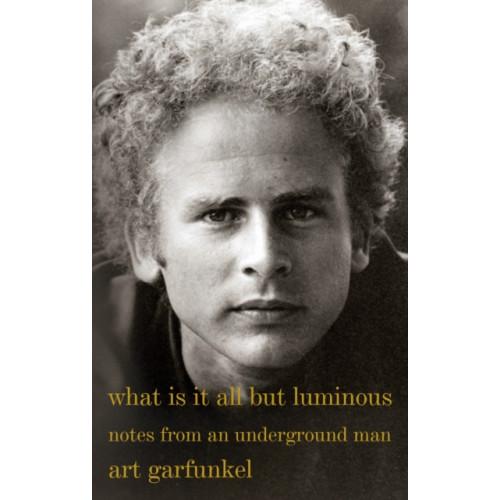 Alfred A. Knopf What Is It All but Luminous (häftad, eng)