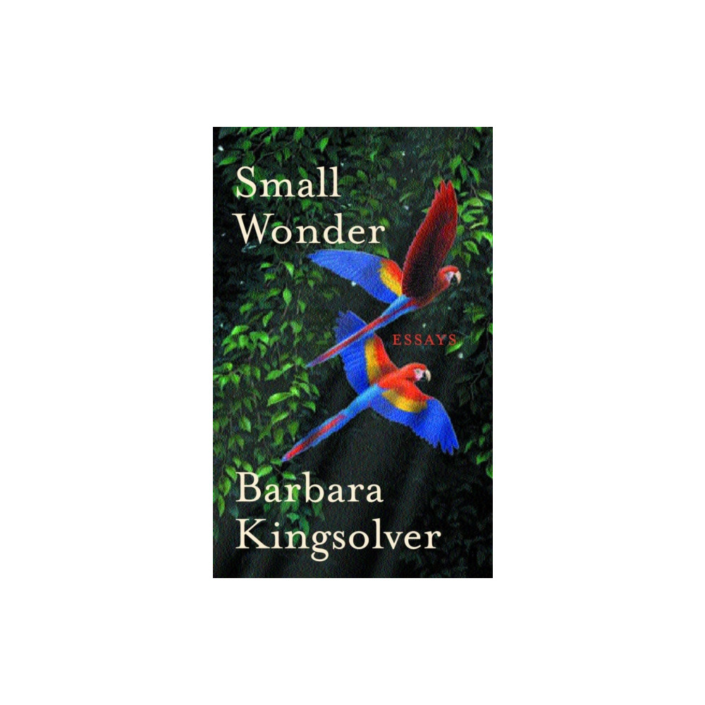 Produktbild för Small Wonder (häftad, eng)