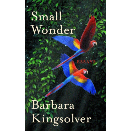 Faber & Faber Small Wonder (häftad, eng)