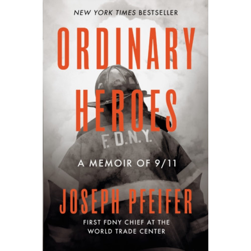 Penguin Putnam Inc Ordinary Heroes (inbunden, eng)