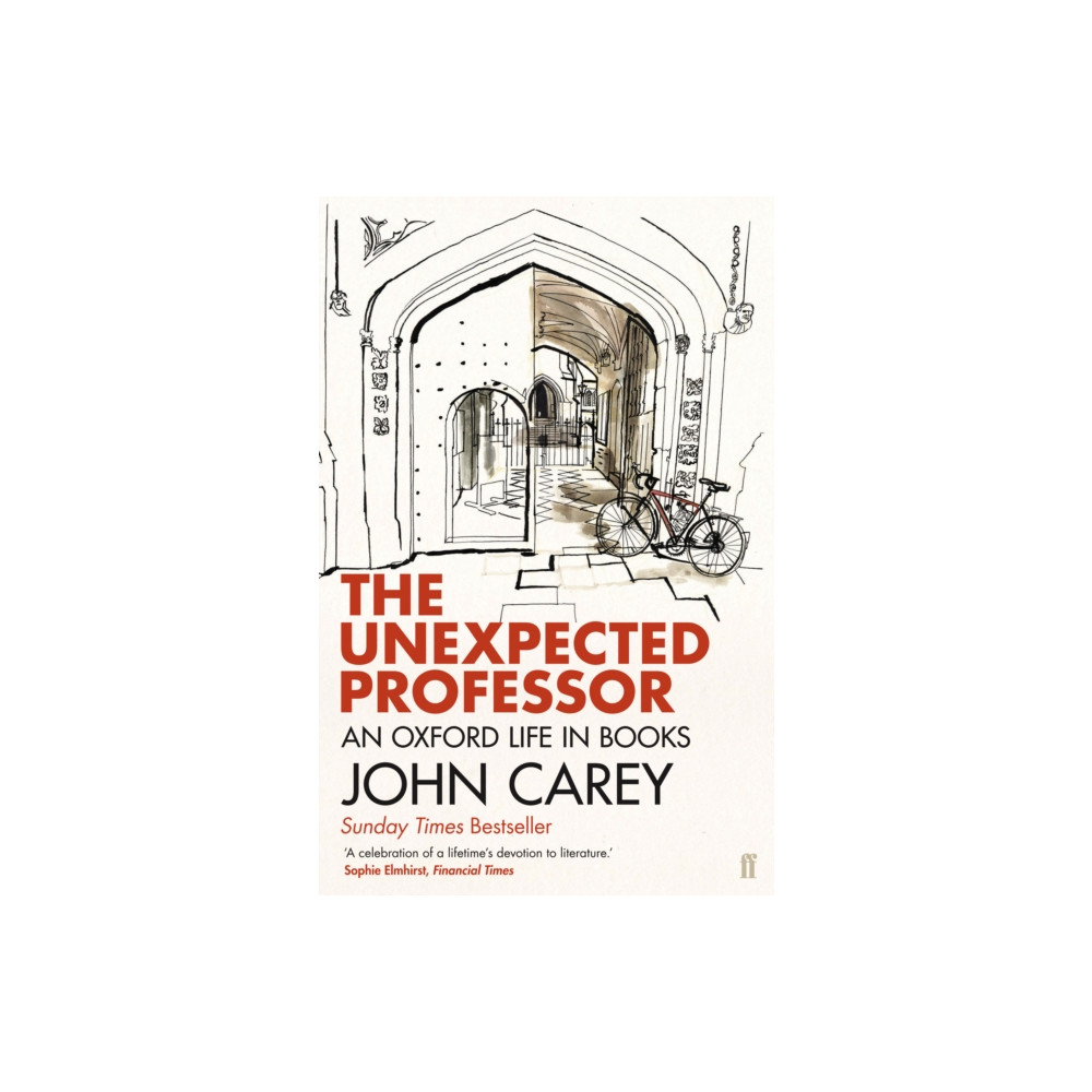 Produktbild för The Unexpected Professor (häftad, eng)