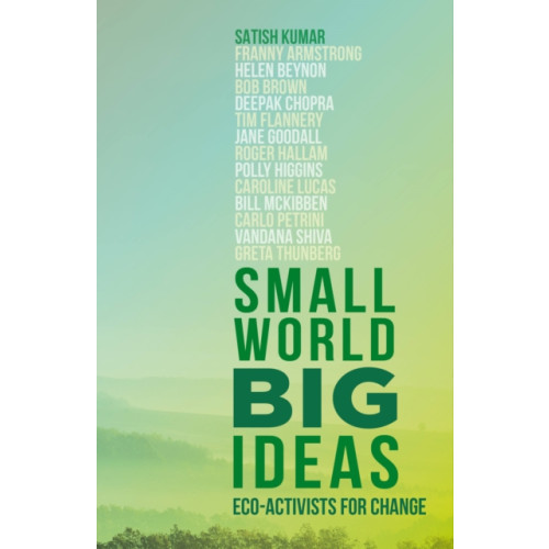 Quarto Publishing Plc Small World, Big Ideas (häftad, eng)