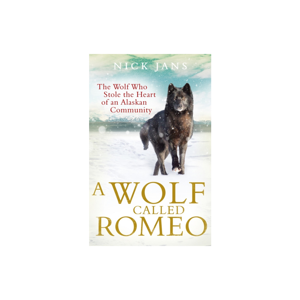 Produktbild för A Wolf Called Romeo (häftad, eng)