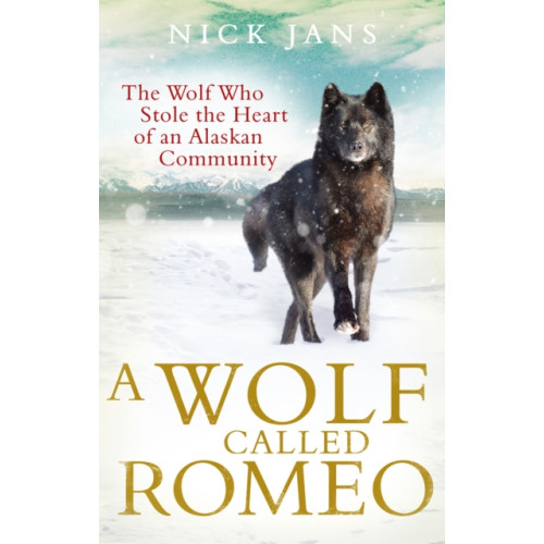 Ebury Publishing A Wolf Called Romeo (häftad, eng)