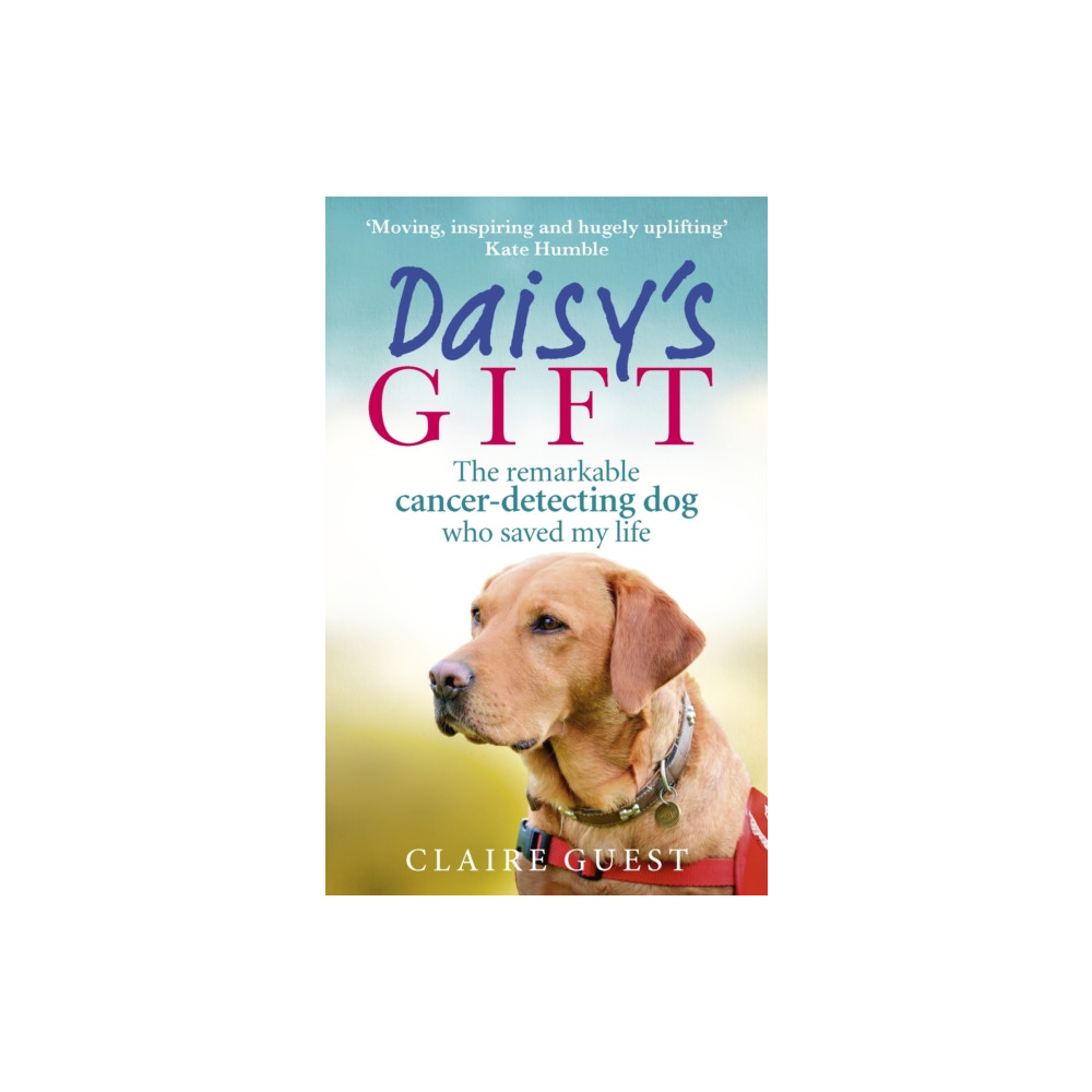 Produktbild för Daisy’s Gift (häftad, eng)