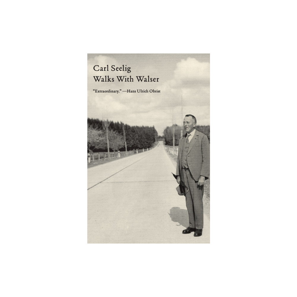 Produktbild för Walks with Walser (häftad, eng)
