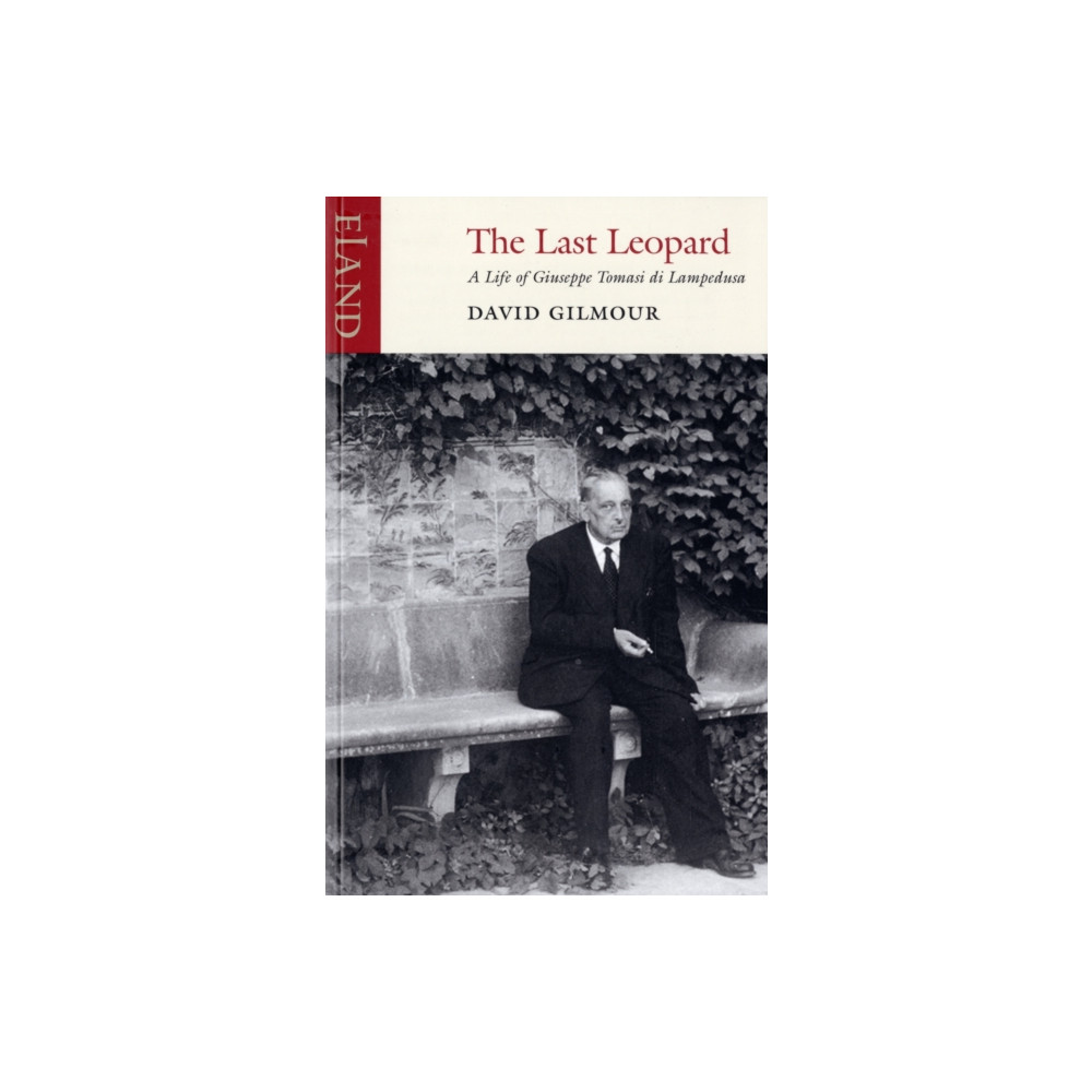 Produktbild för The Last Leopard (häftad, eng)