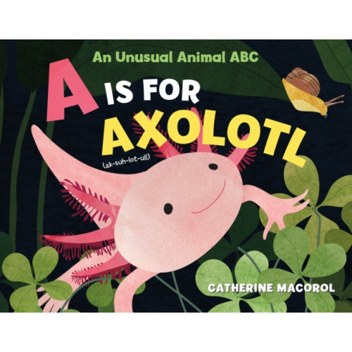 St Martin's Press A Is for Axolotl: An Unusual Animal ABC (inbunden, eng)