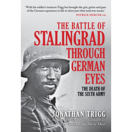 Amberley Publishing The Battle of Stalingrad Through German Eyes (inbunden, eng)