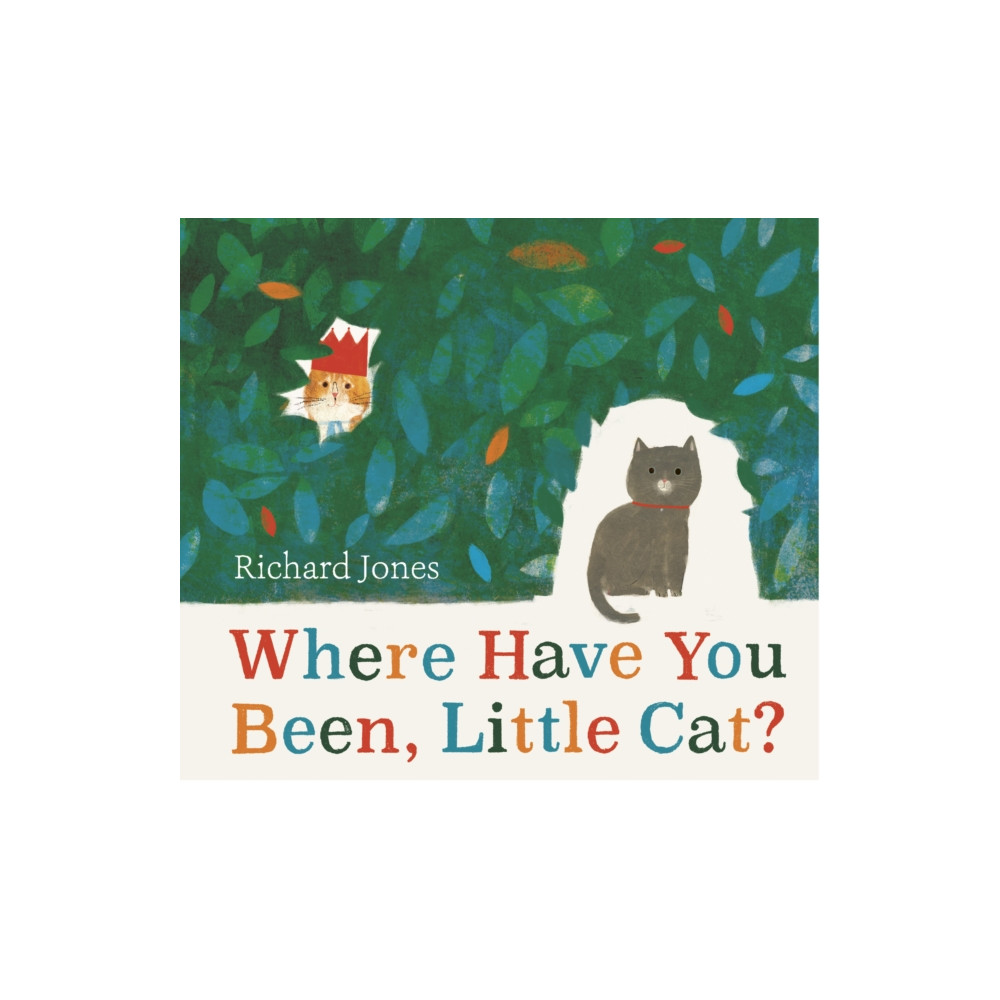 Produktbild för Where Have You Been, Little Cat? (häftad, eng)