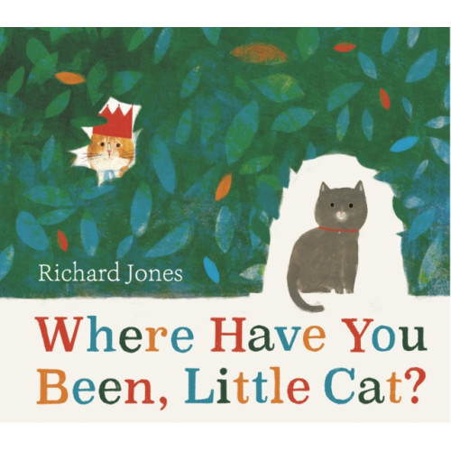 Simon & Schuster Ltd Where Have You Been, Little Cat? (häftad, eng)