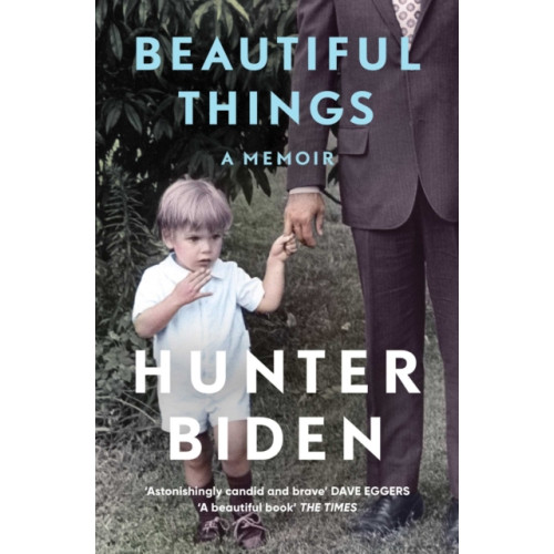 Simon & Schuster Ltd Beautiful Things (häftad, eng)