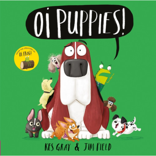 Hachette Children's Group Oi Puppies! (häftad, eng)