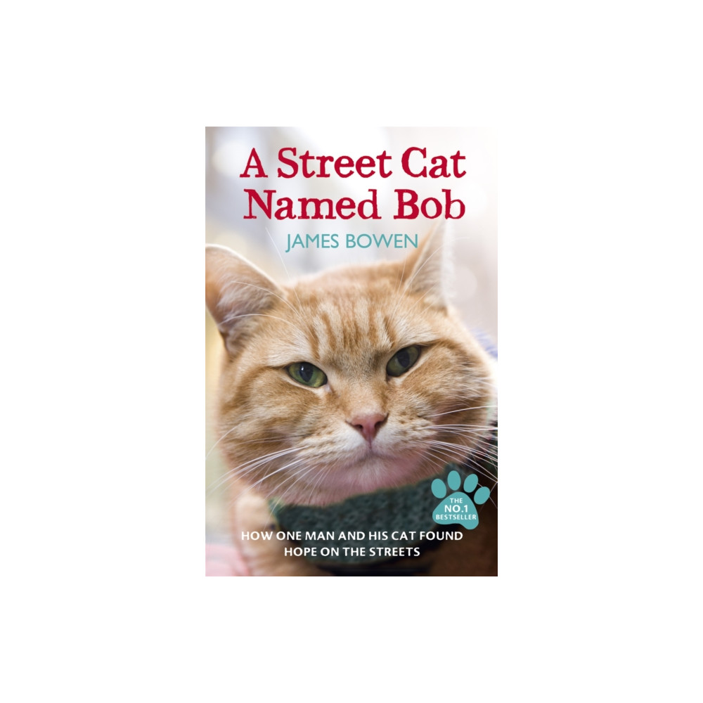 Produktbild för A Street Cat Named Bob (häftad, eng)