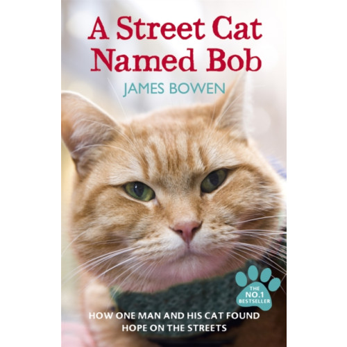 Hodder & Stoughton A Street Cat Named Bob (häftad, eng)