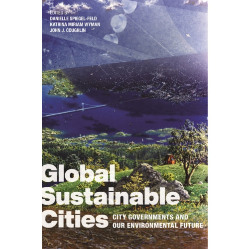 New York University Press Global Sustainable Cities (häftad, eng)