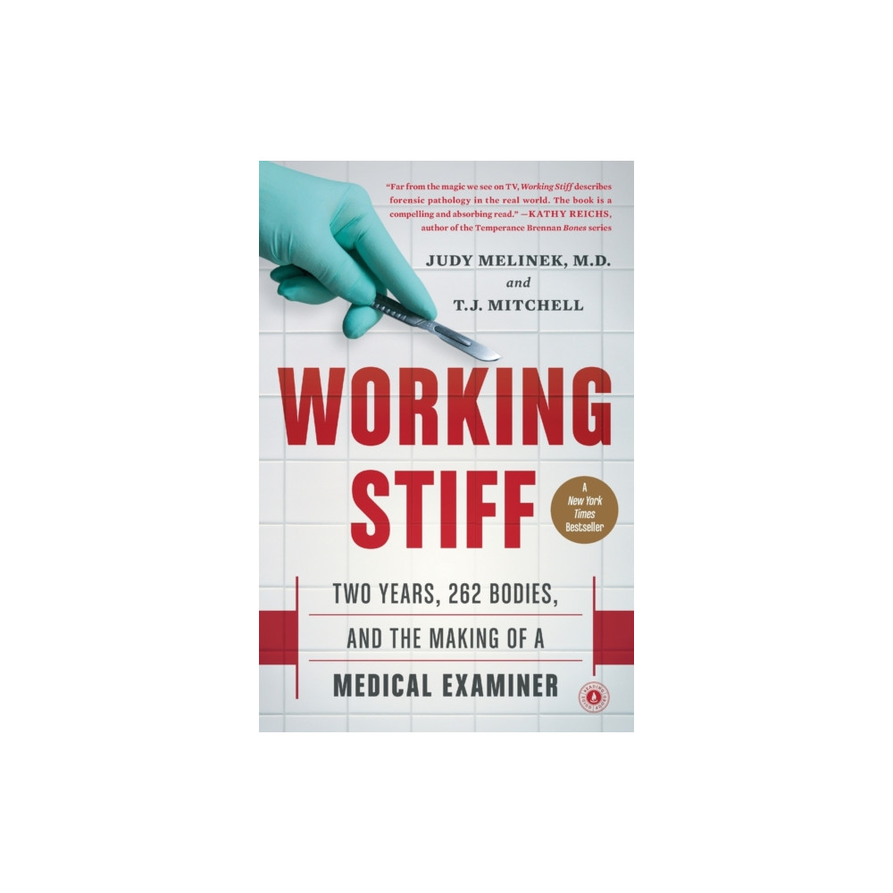 Produktbild för Working Stiff (häftad, eng)