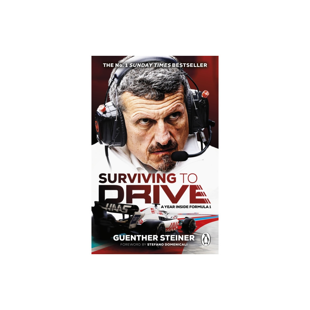 Produktbild för Surviving to Drive (häftad, eng)