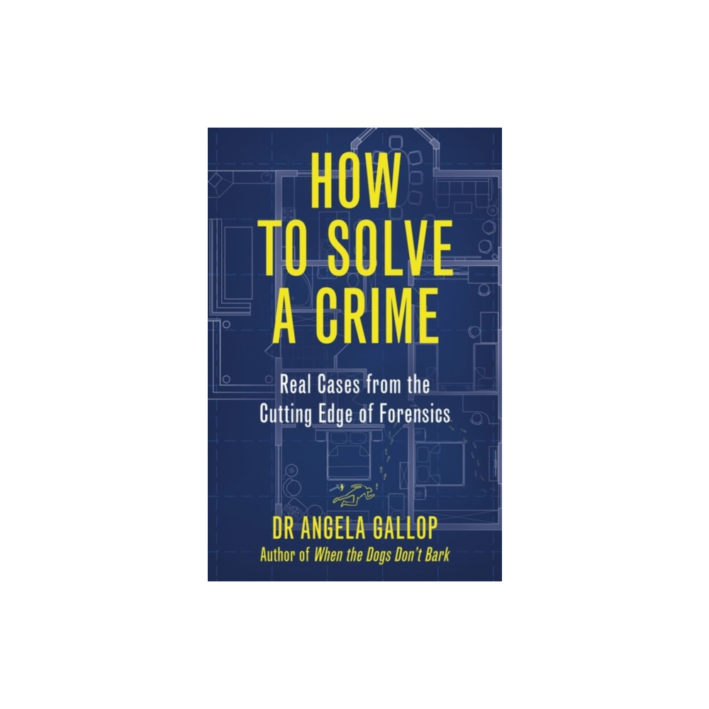 Produktbild för How to Solve a Crime (häftad, eng)
