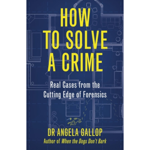 Hodder & Stoughton How to Solve a Crime (häftad, eng)