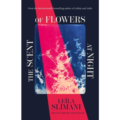 Hodder & Stoughton The Scent of Flowers at Night (häftad, eng)