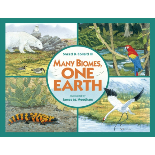 Charlesbridge Publishing,U.S. Many Biomes, One Earth (häftad, eng)